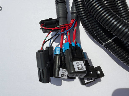 Harness Package for Triple Fuel Pump Installation (view 4)